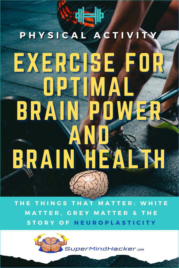 research on physical activity and brain health